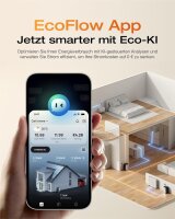 Balkonkraftwerk 2x450W Solaranlage mit 800W Ecoflow Stream Micro Wechselrichter WiFi Bluetooth, Glas-Glas Solarmodule 2X 450W Bifazial Black Frame, Photovoltaik PV Anlage f&uuml;r Haus Dach Terrasse Balkon